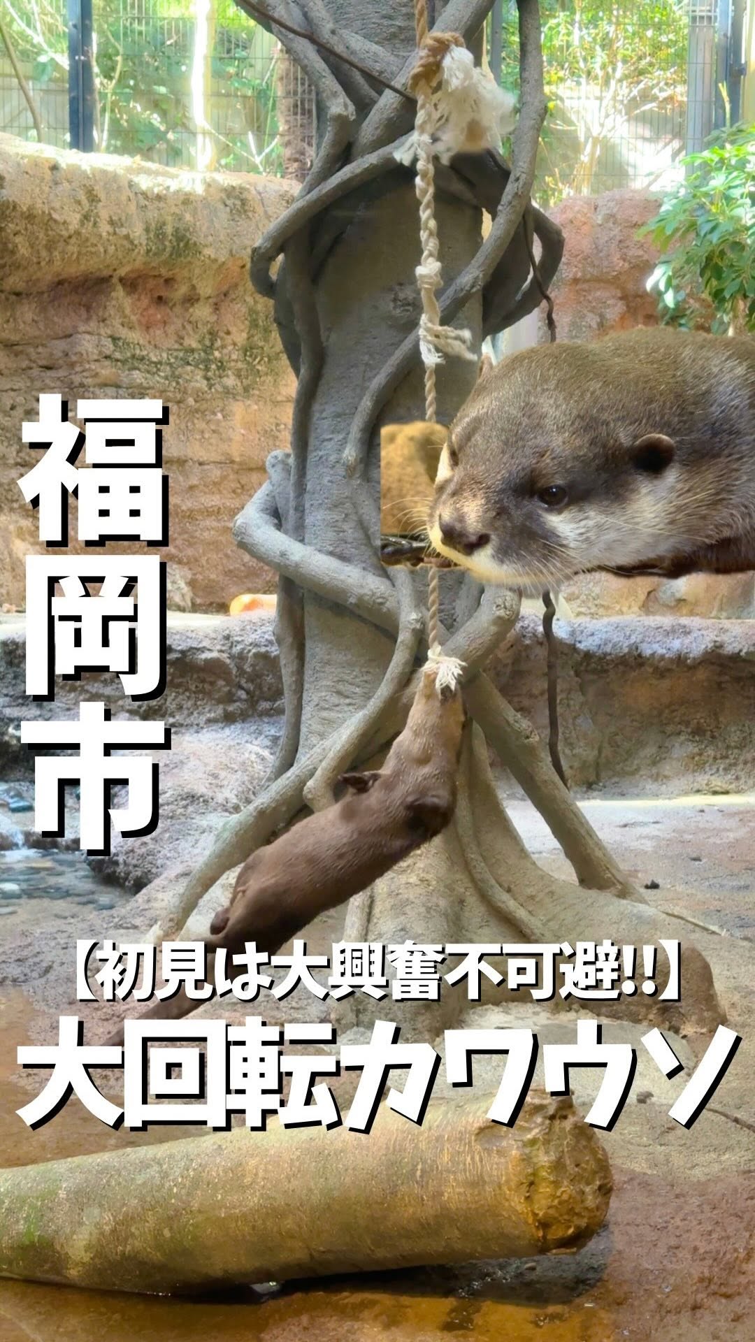 こども動物園横食堂
