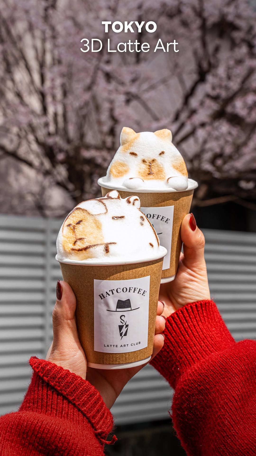 HATCOFFEE