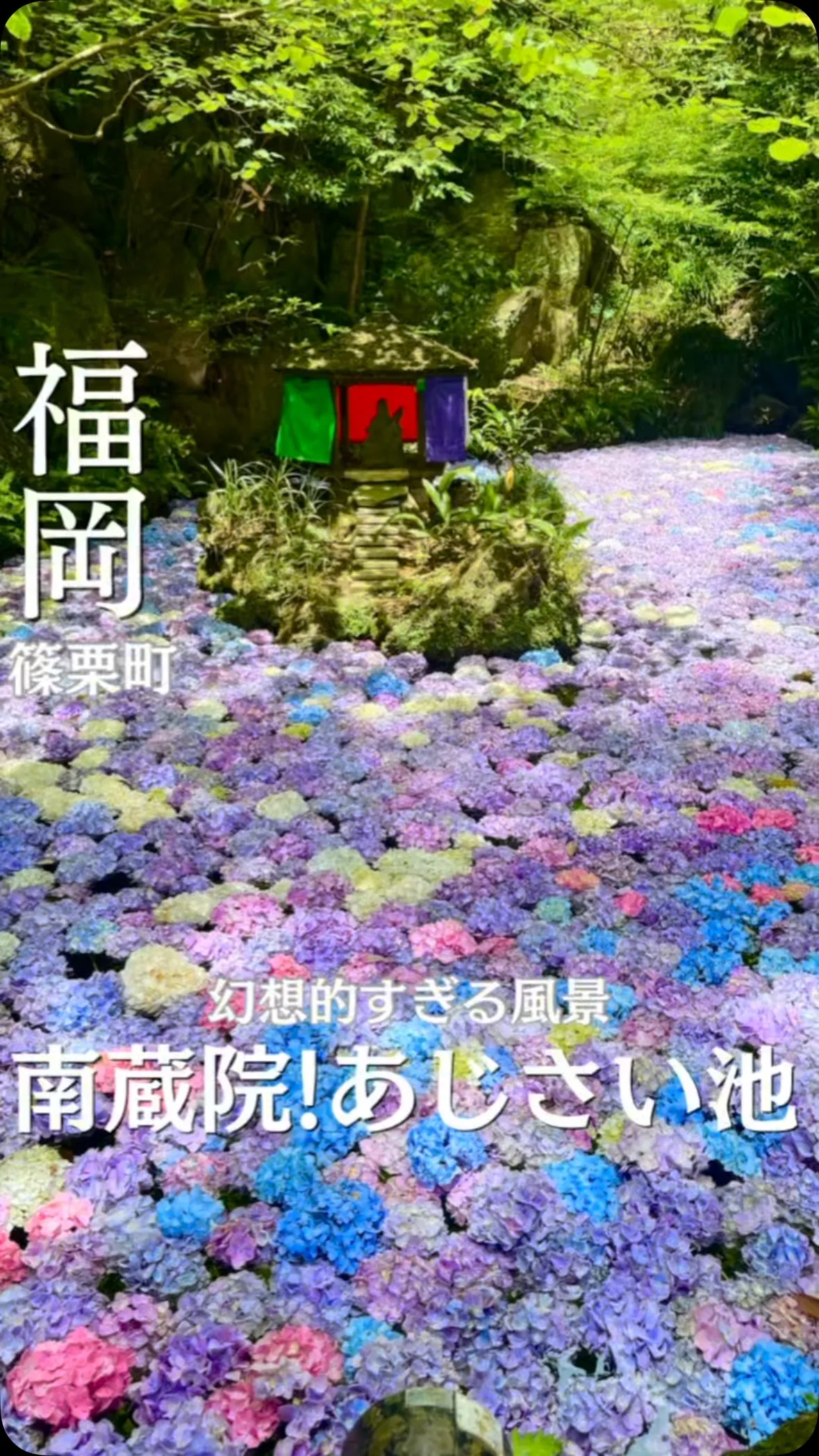 南蔵院 涅槃像前売店