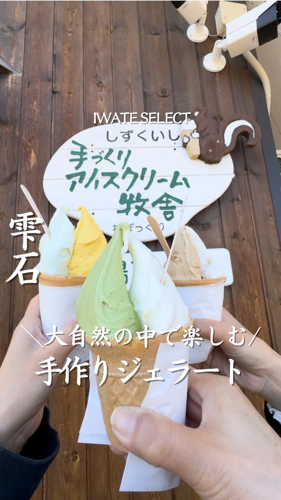 松ぼっくり