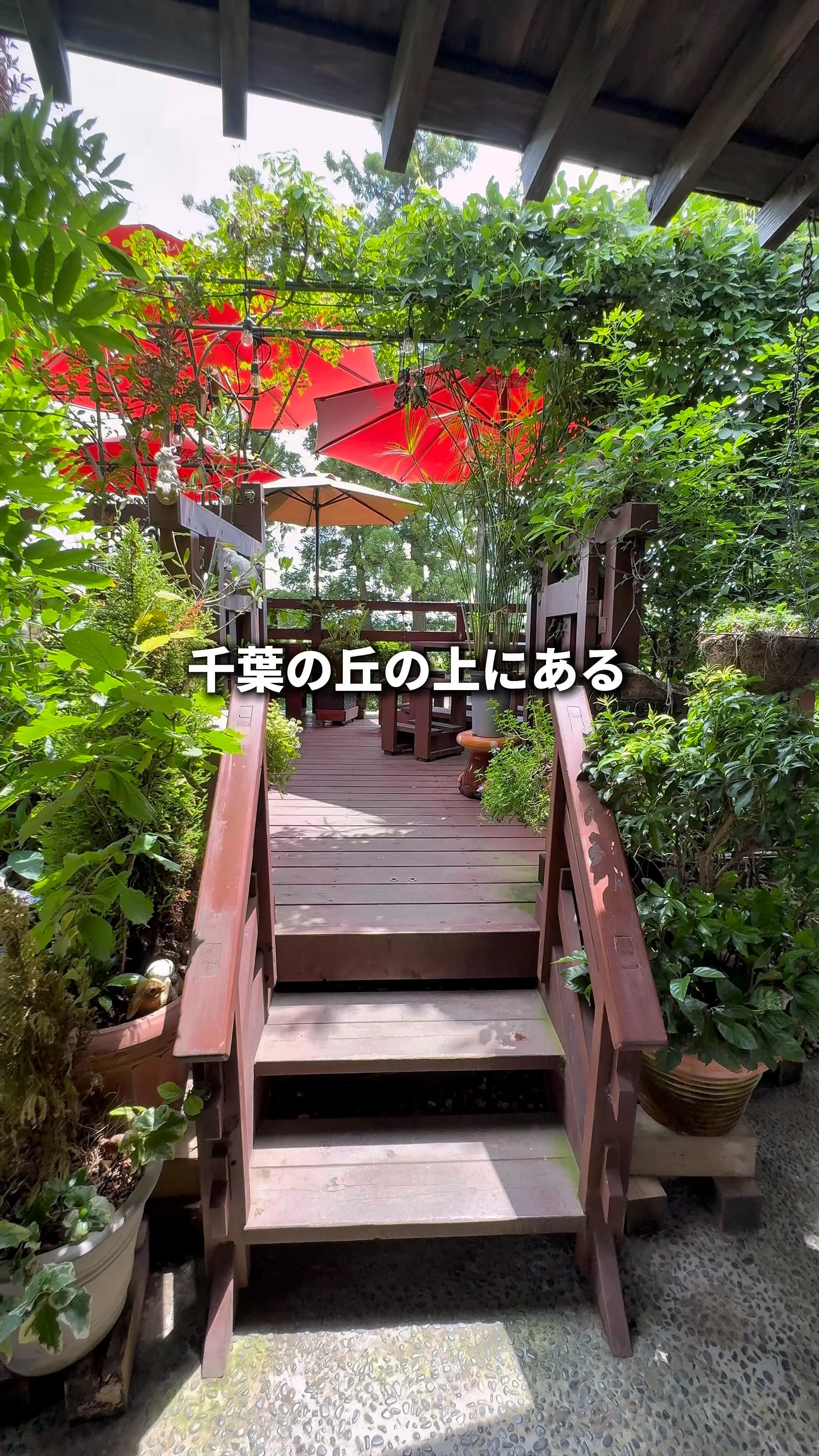 茶屋花華