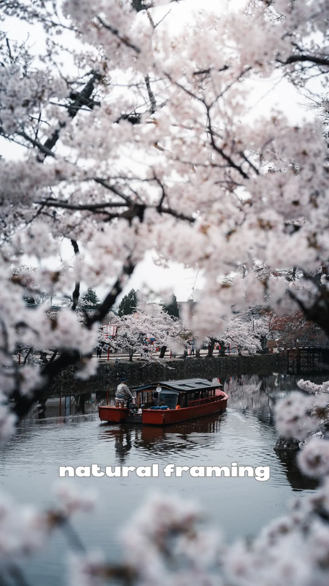 彦根城