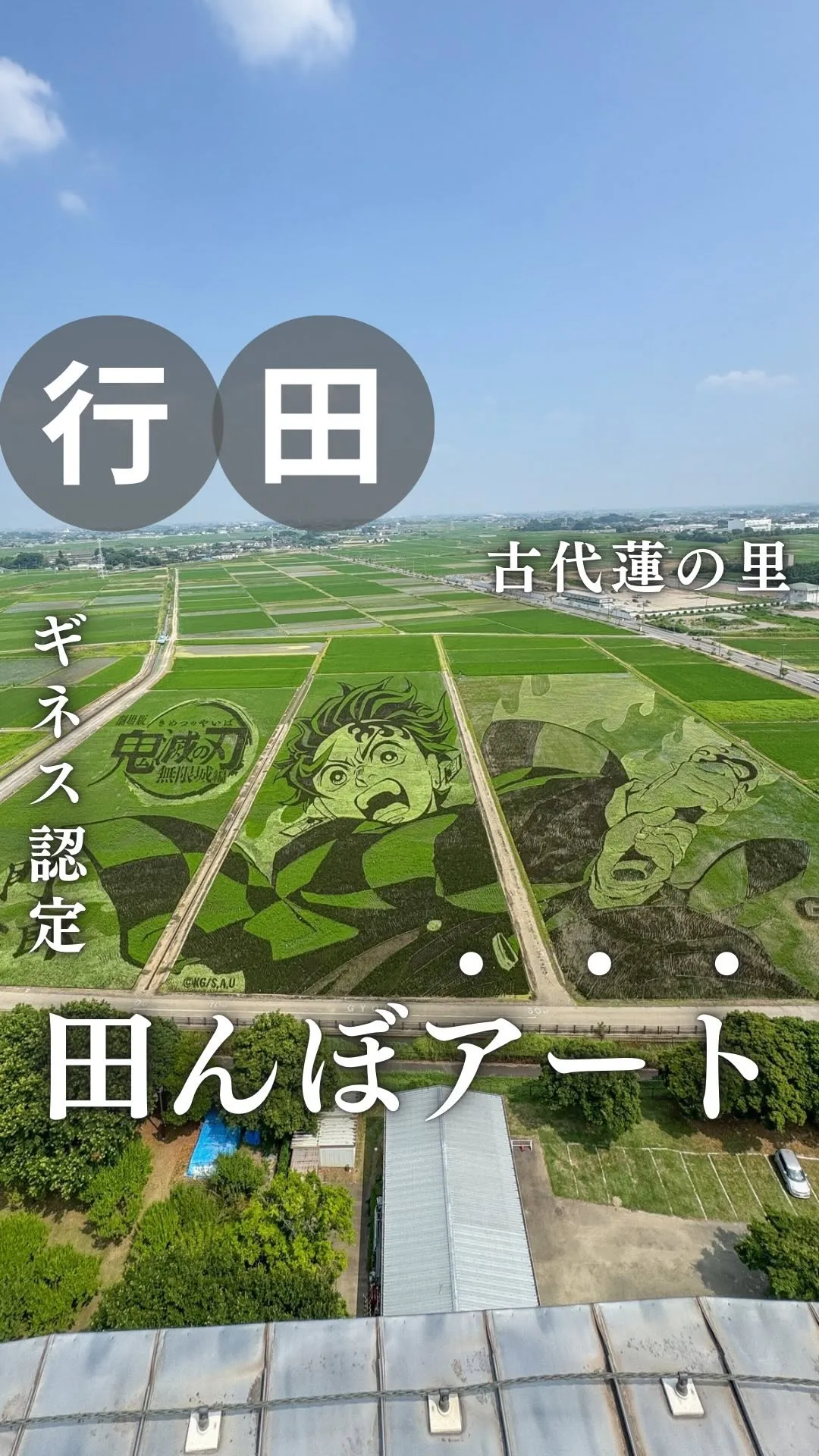 古代蓮の里