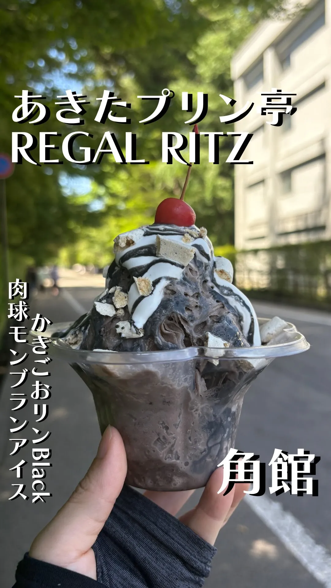 みちのく懐かしの味 あきたプリン亭