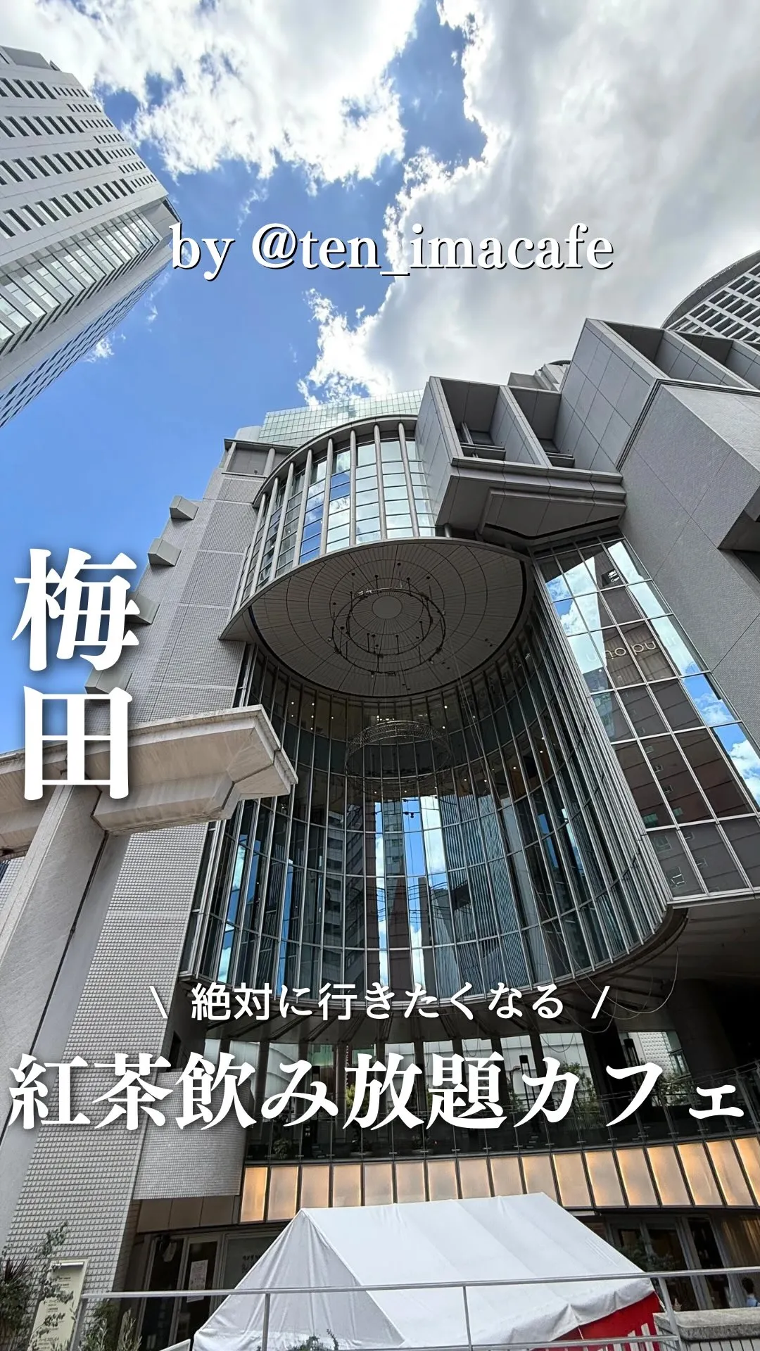 MLESNA TEA 大阪