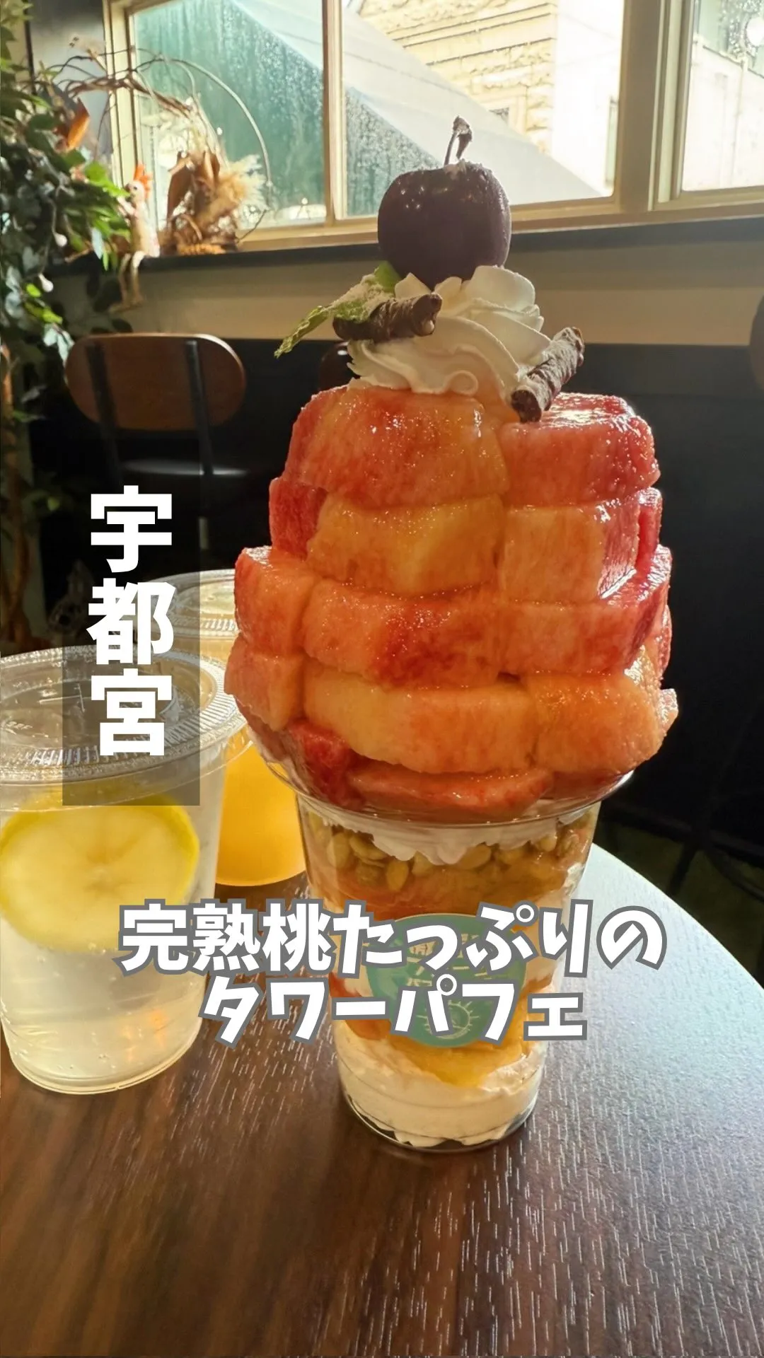 髙橋農園 釜川店
