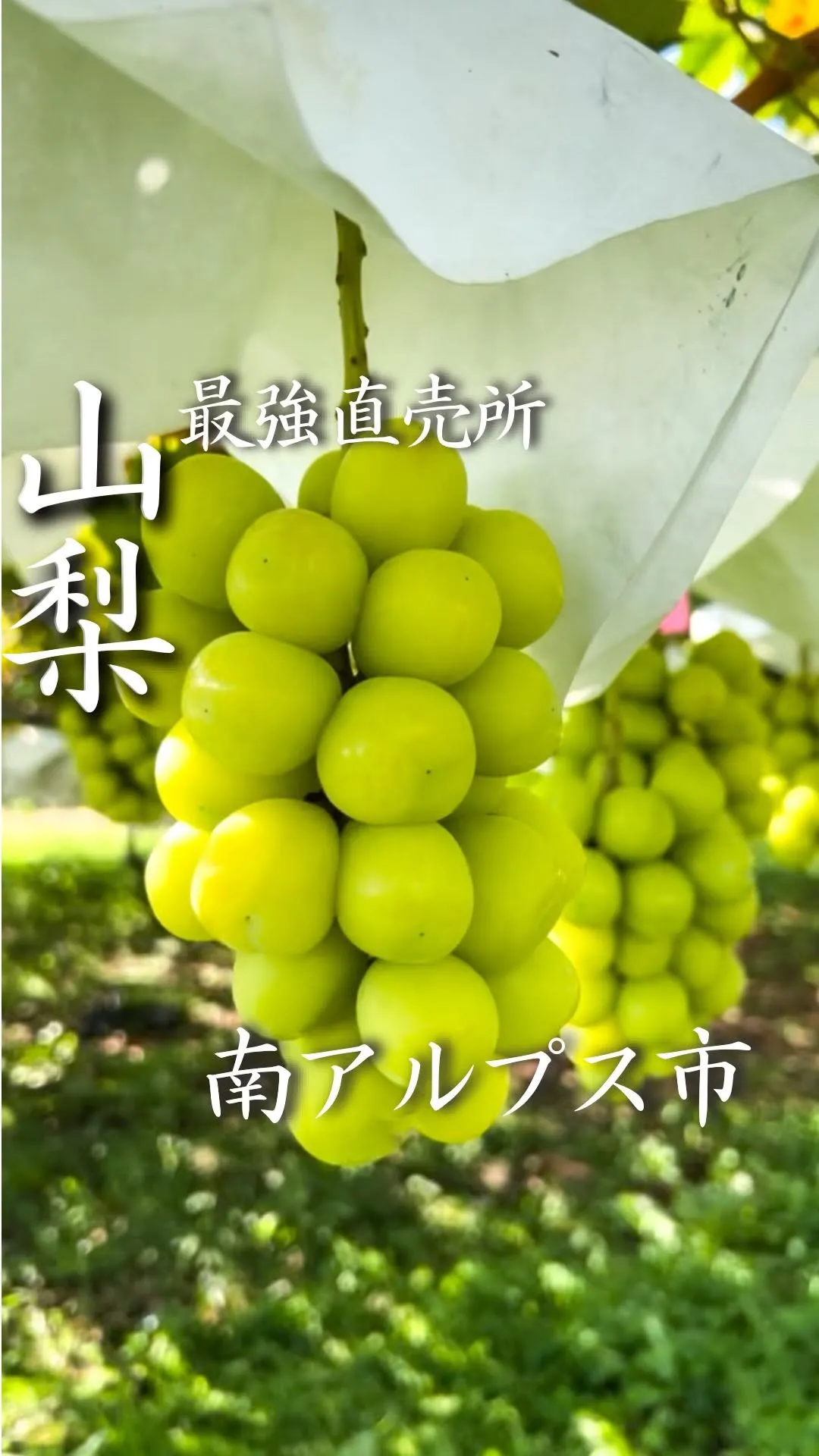 JA南アルプス市 道の駅しらね 農産物直売所