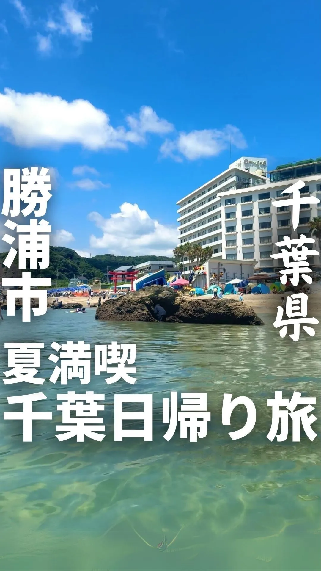勝浦朝市
