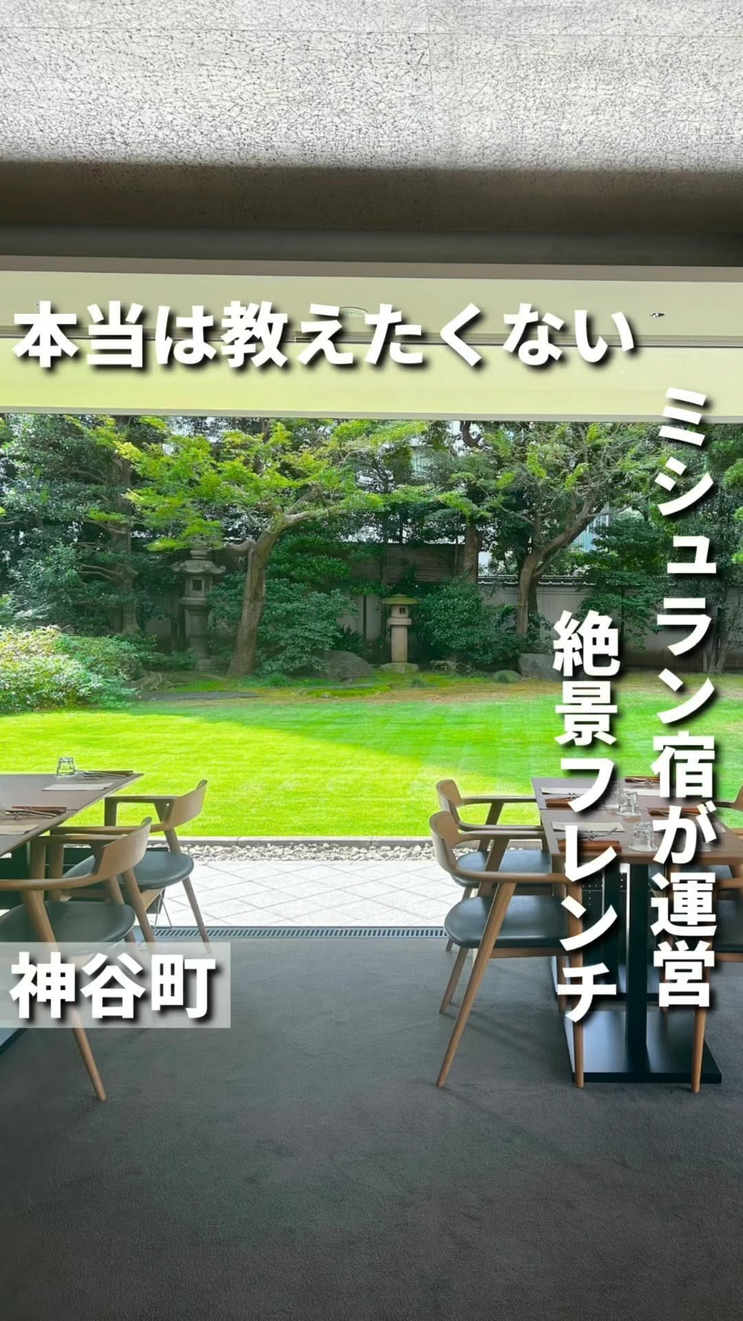茶楓