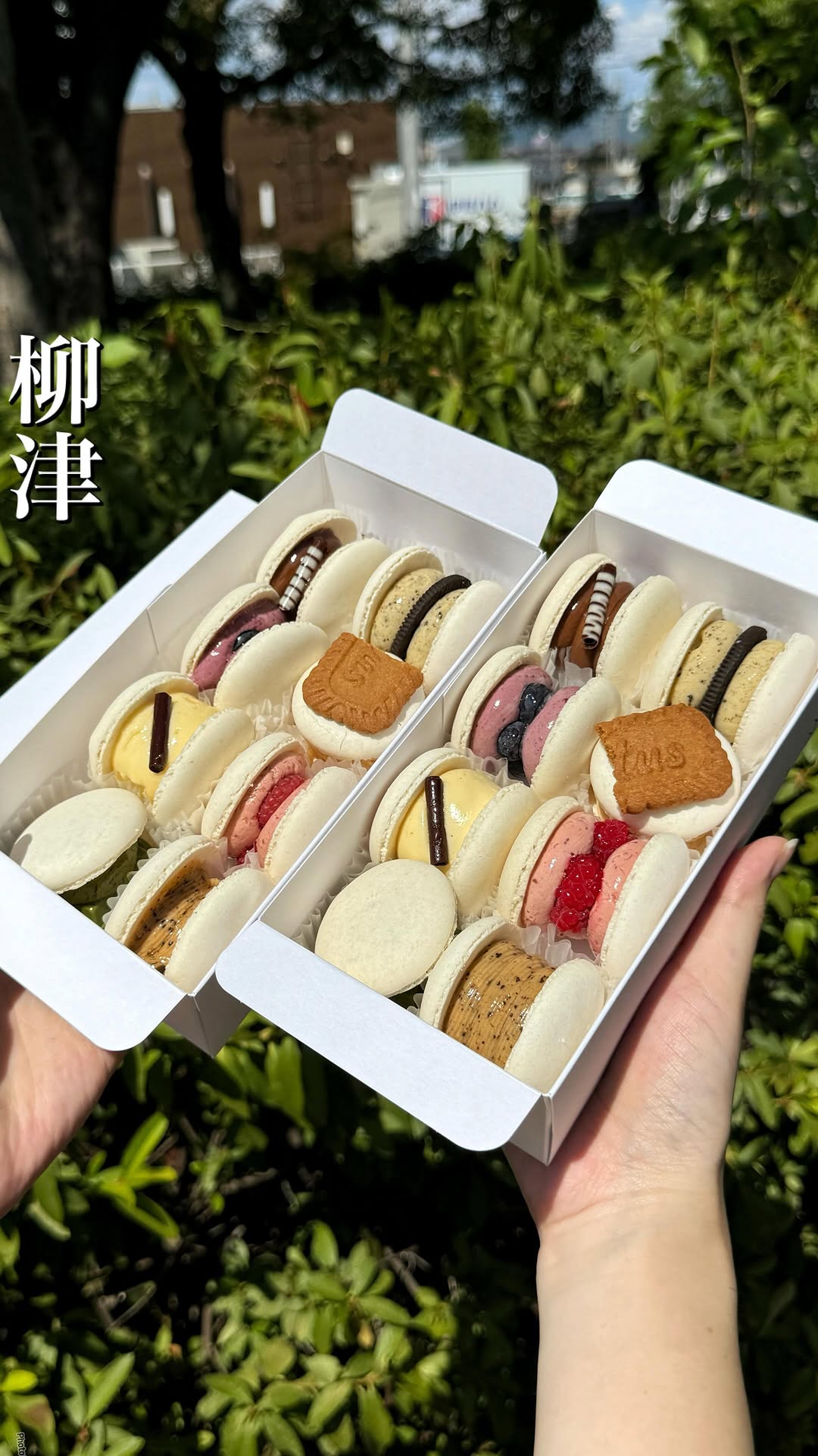 コナズ珈琲カラフルタウン岐阜