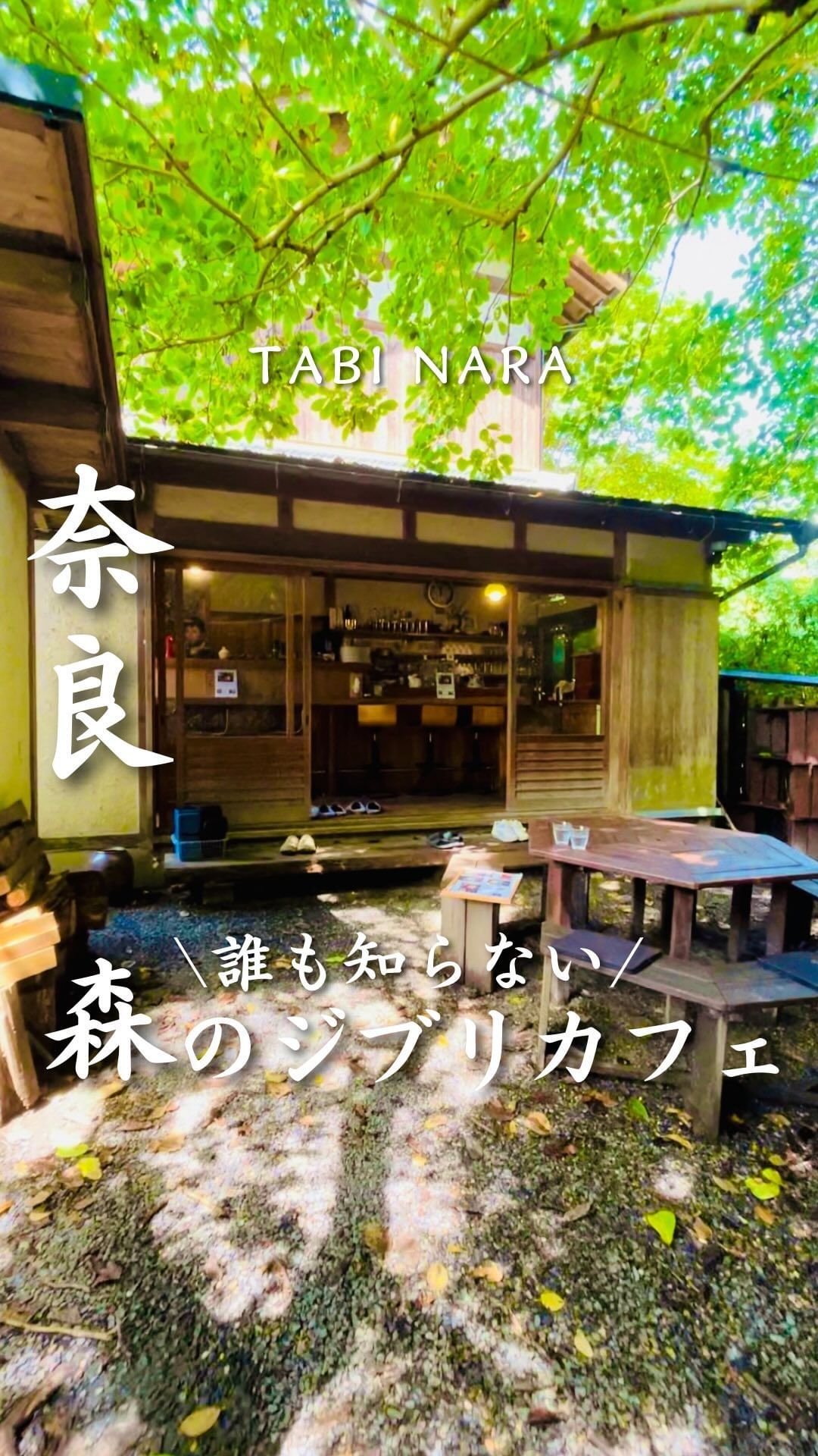山辺の道 花もり