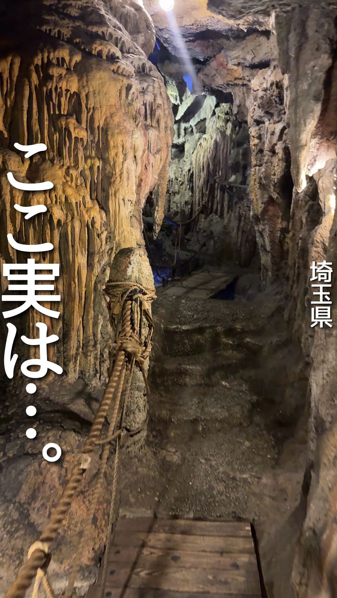 ウェアハウス 岩槻店