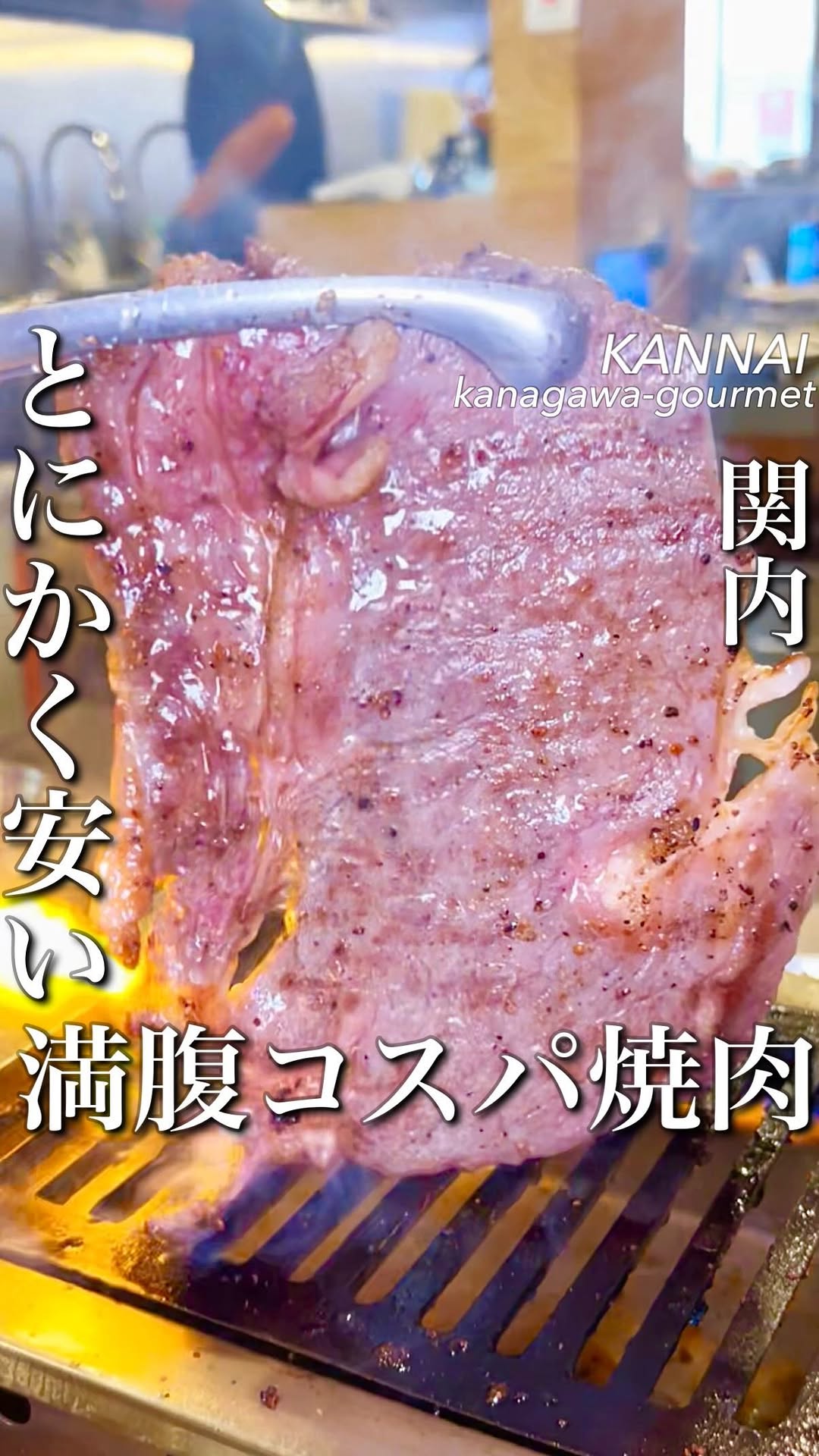 ホルモンハジメ