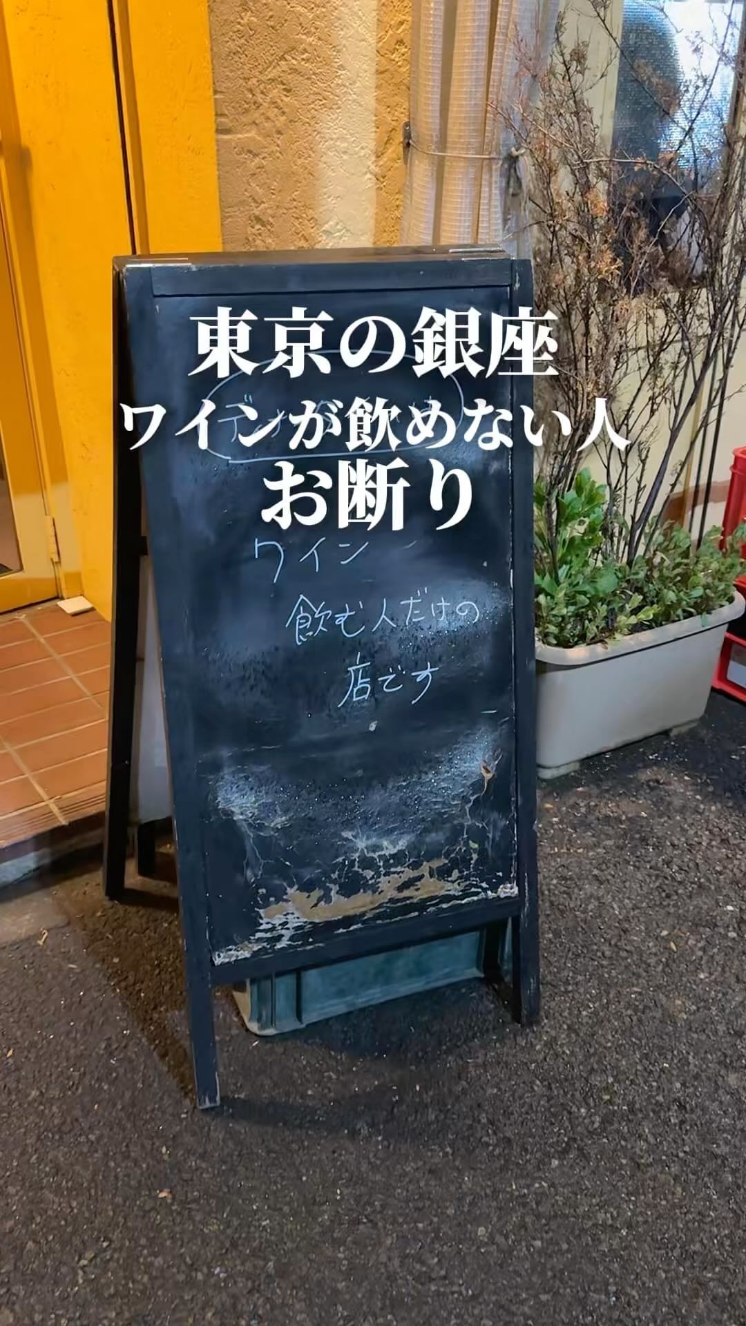 大衆イタリアン マチルダ 銀座