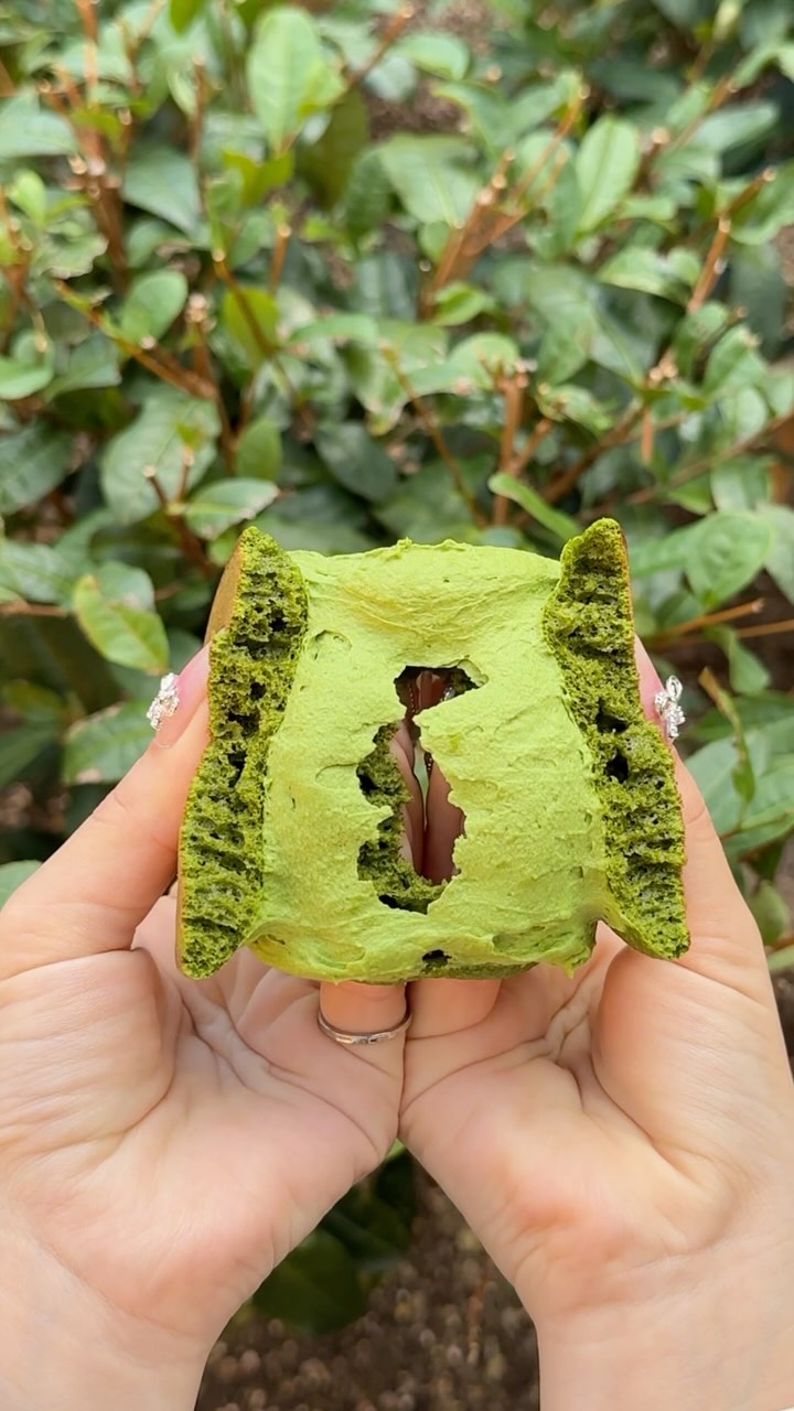 TEA SQUARE MORIHAN 共栄製茶(株)
