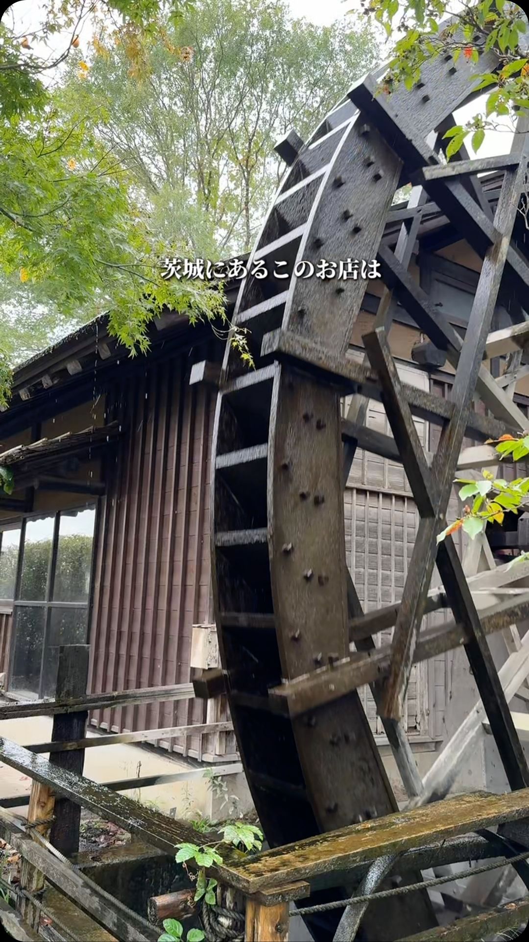 みずほの村市場 蕎舎