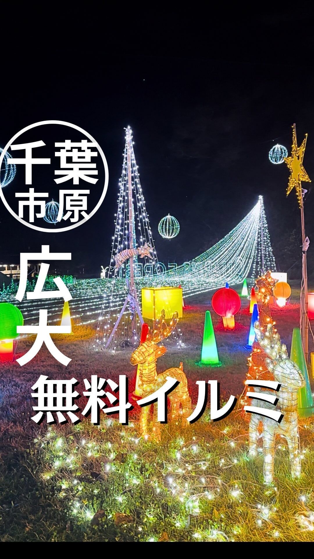 市立いちはらクオードの森