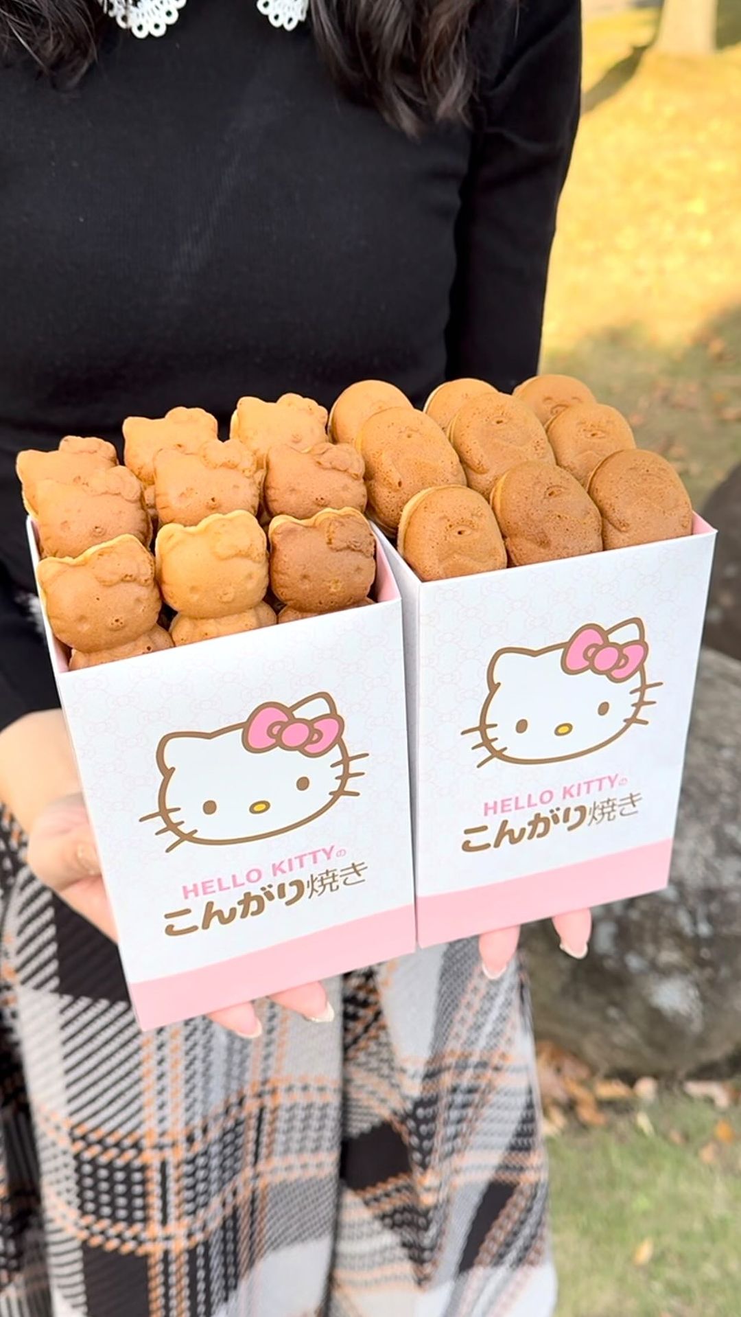 Hello Kitty Japan ダイバーシティ東京 プラザ店