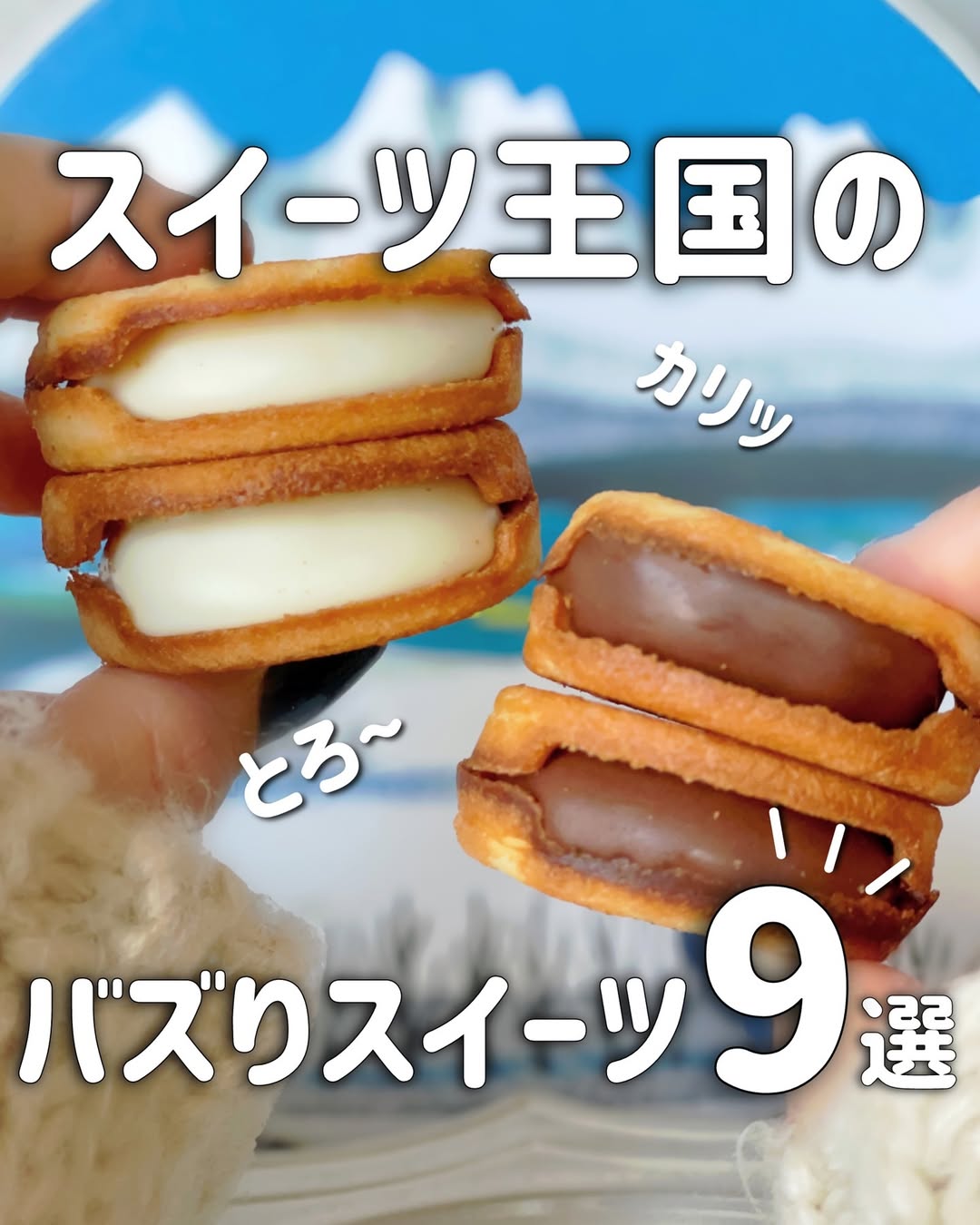 チーズケーキNOCOA