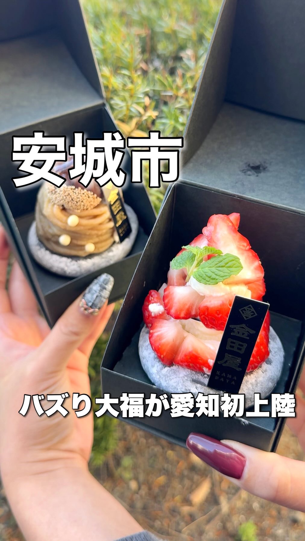 とろり天使のわらびもち安城店