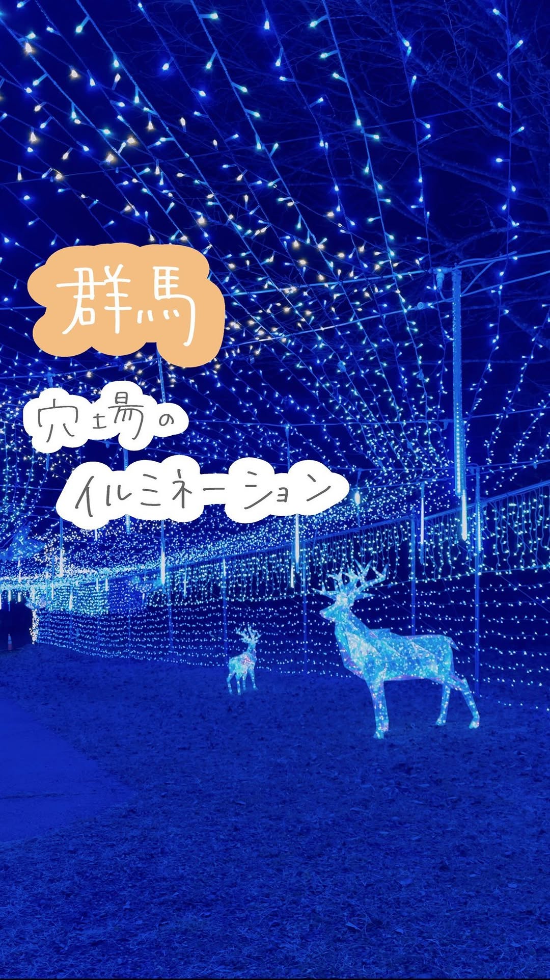 道の駅 上野