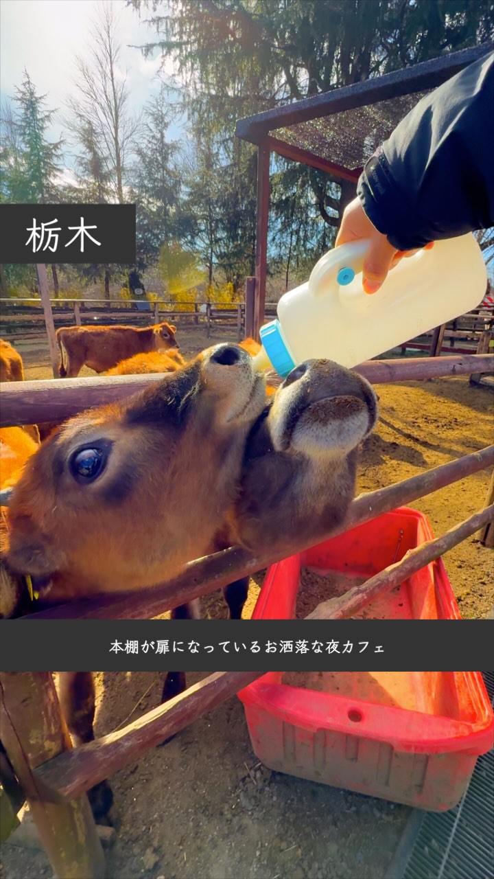 那須高原りんどう湖ファミリー牧場