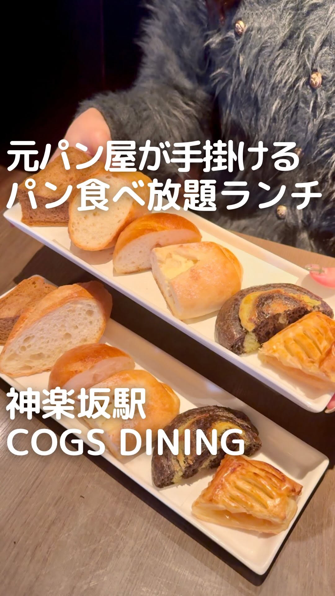 コグス ダイニング 神楽坂
