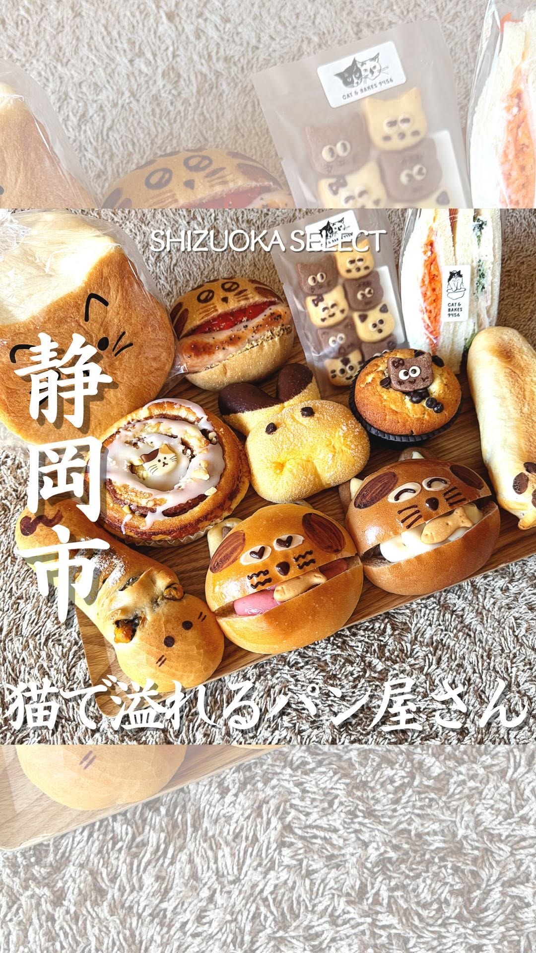 CAT & BAKES 9456