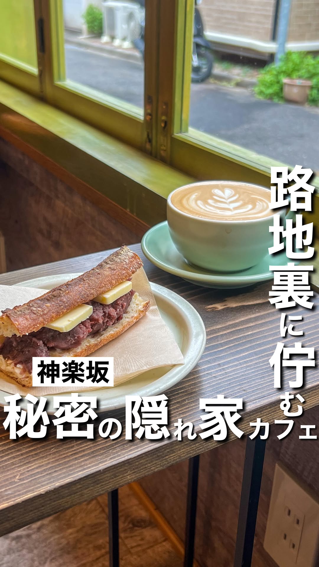 elm green coffee