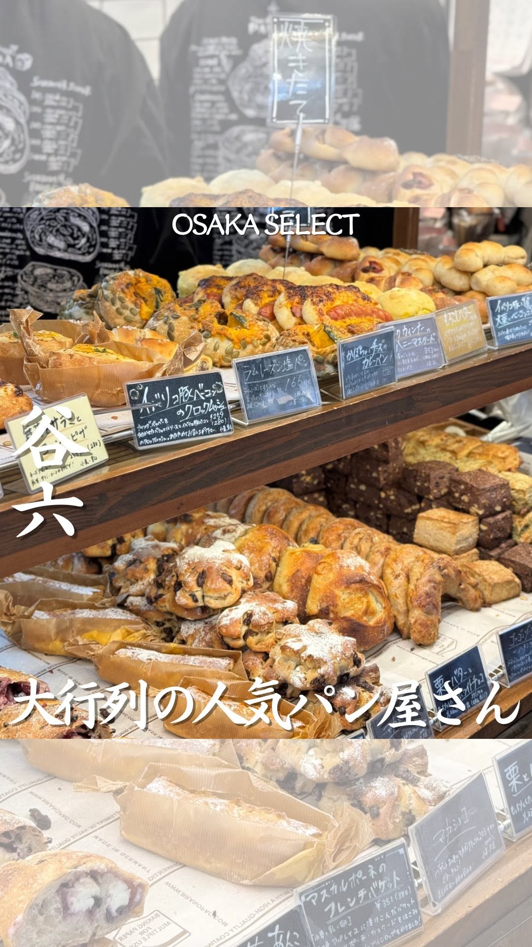 タニロクベーカリー パネーナ