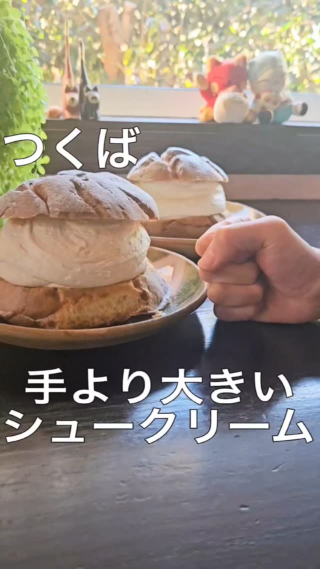 カフェドしっぽな