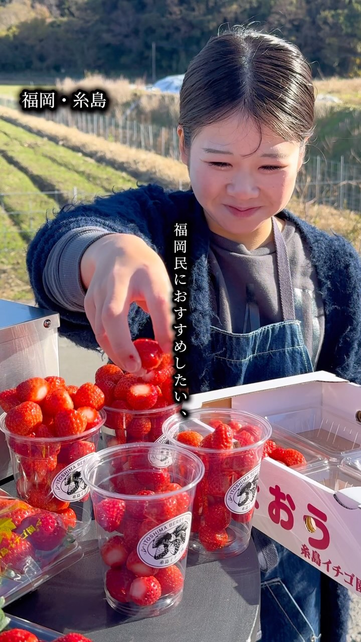 糸島イチゴ園 いちご狩り