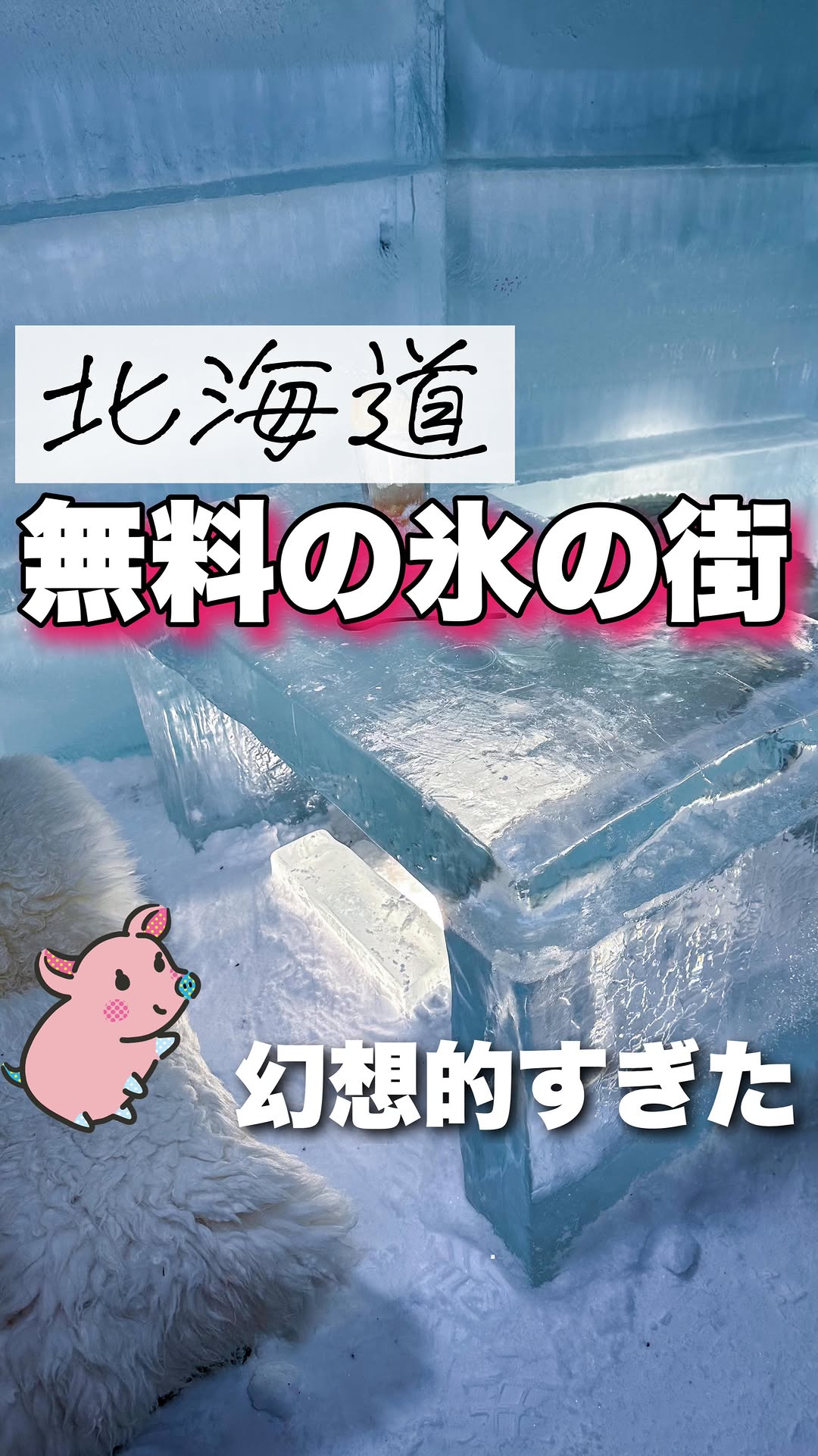 星野リゾート トマム アイスヴィレッジ