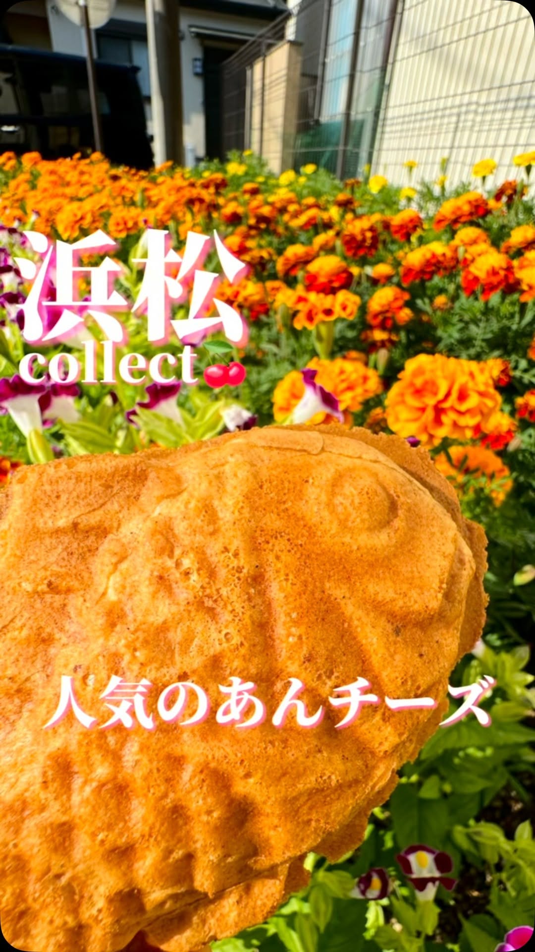 平太郎
