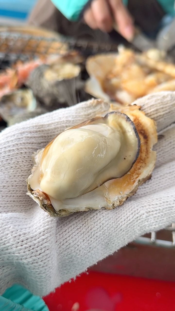 アクアマリン糸島