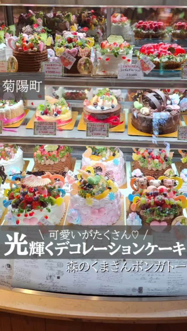 森のくまさんボンガトー