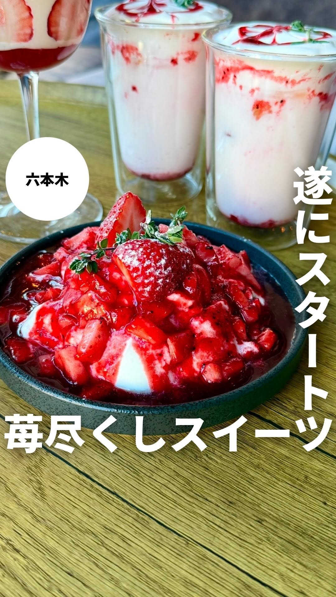 シーシャカフェ&バー muse 六本木店