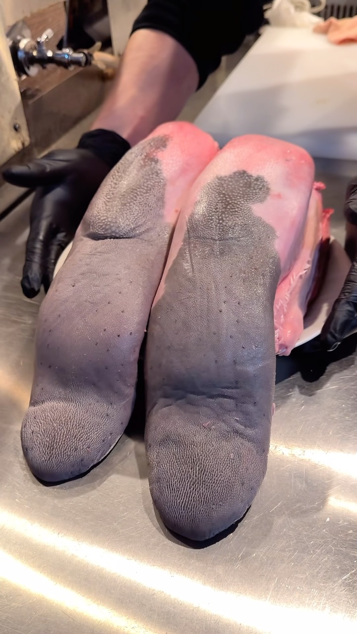 黒毛和牛焼肉 白か黒