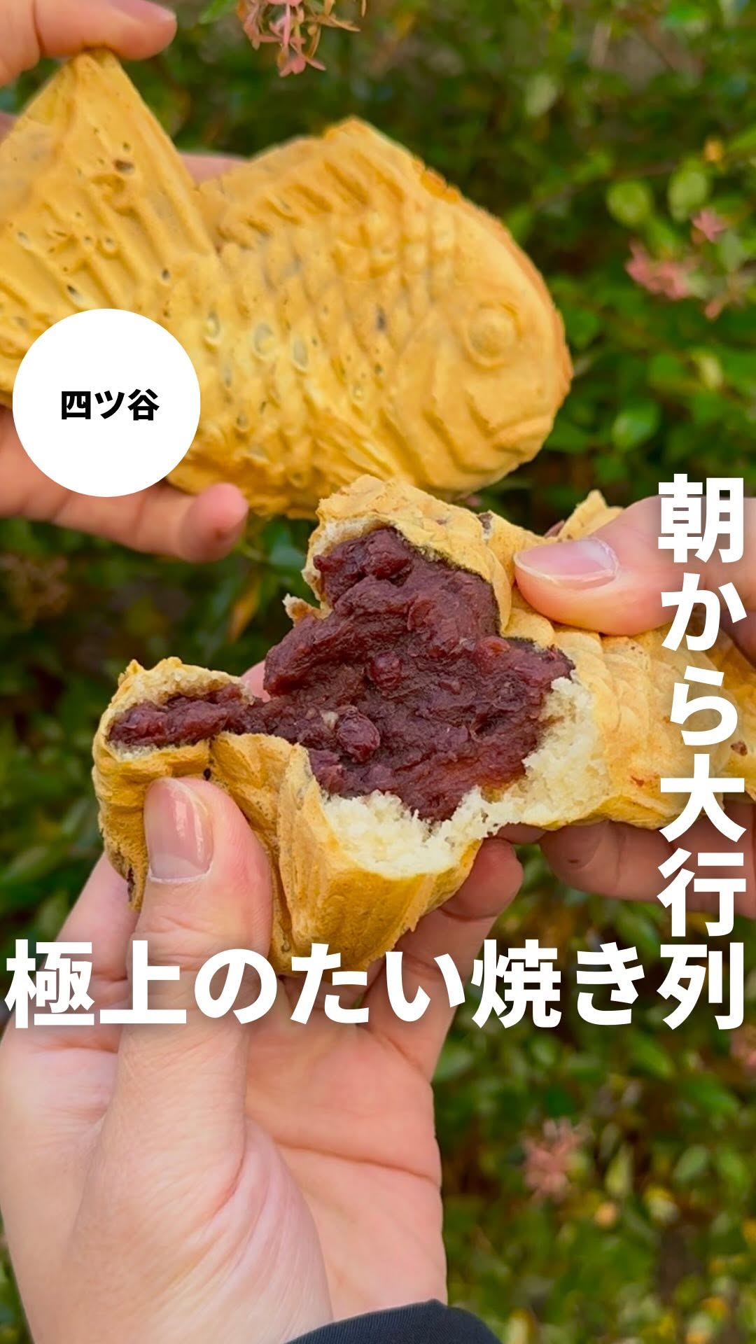 たいやき わかば