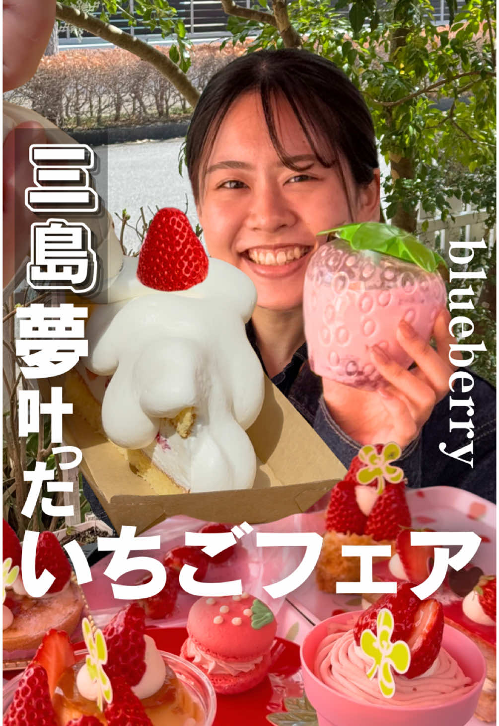 ブルーベリー三島店