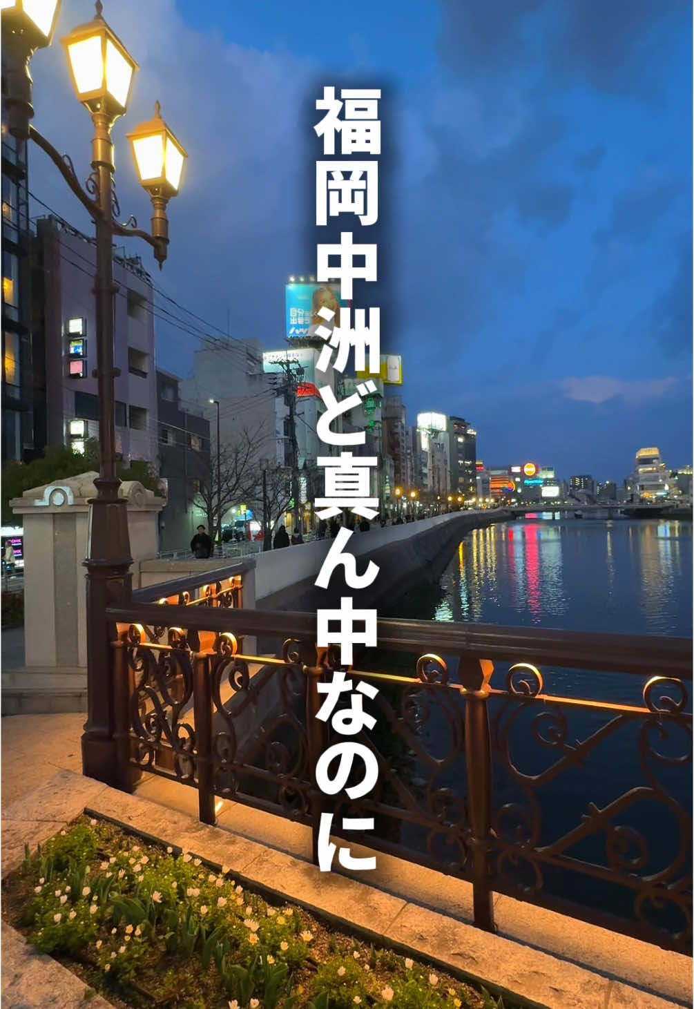 炊き肉／もつ鍋 中洲 鈴蘭亭 SUZURANTEI