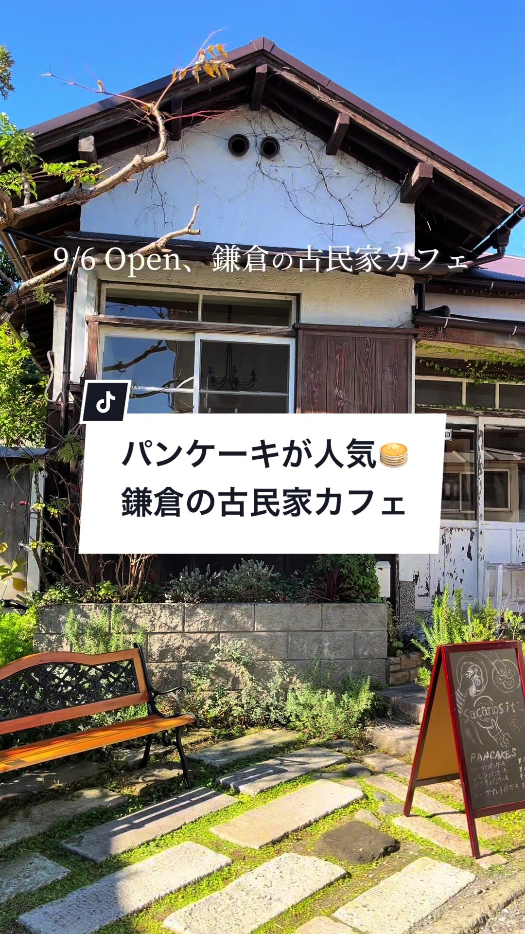 サカノシタ