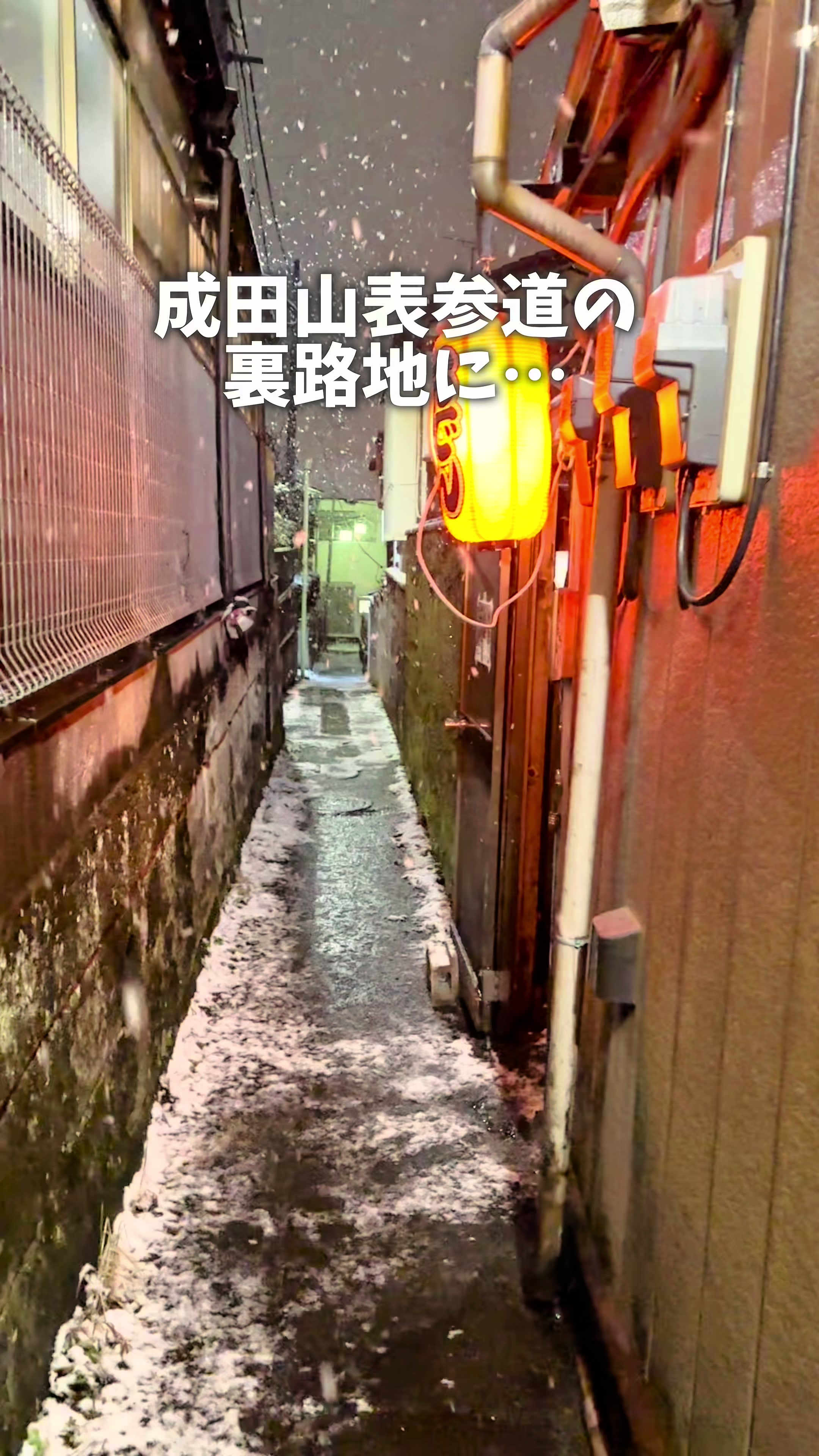 裏庭屋台 たねや