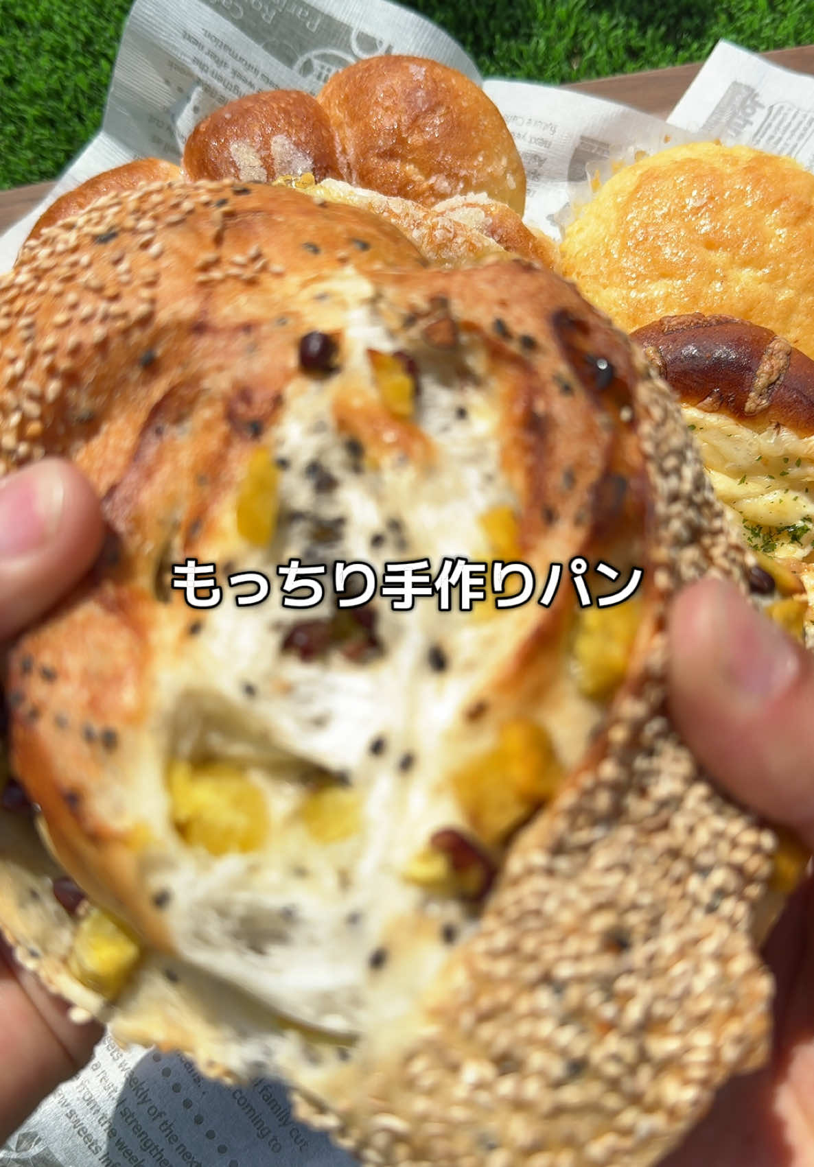 四季彩花