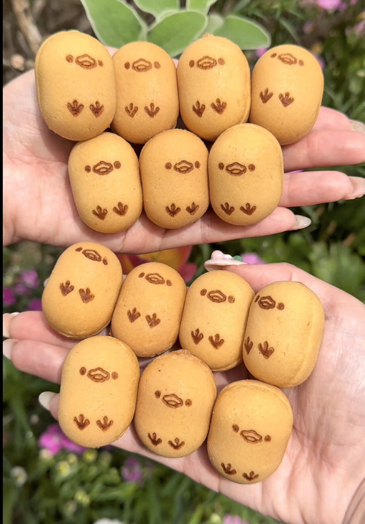 神戸生ベビーカステラ Kobe Rare Baby Castella