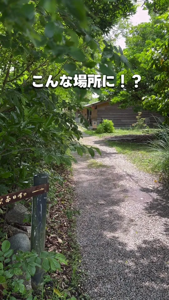 喫茶 日曜日