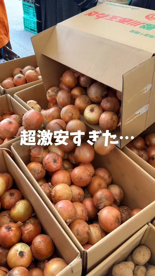 味宝卵