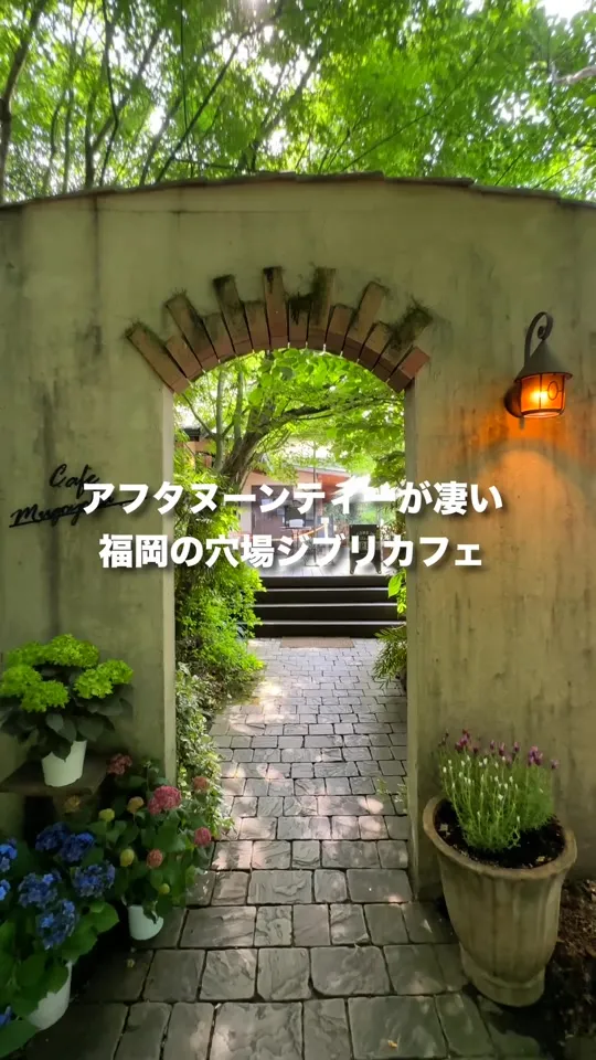 夢語寄家