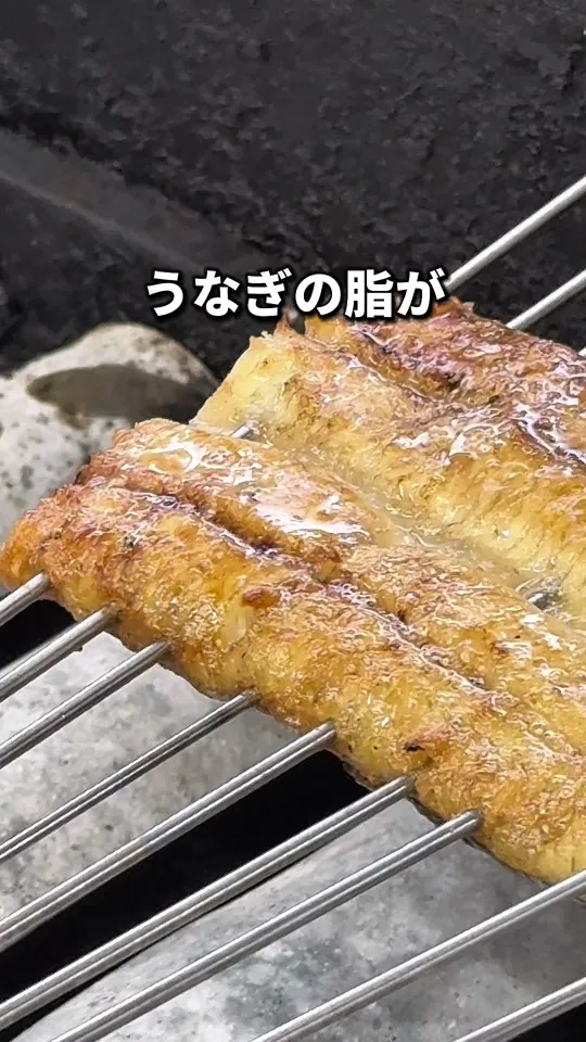 うなぎ太郎