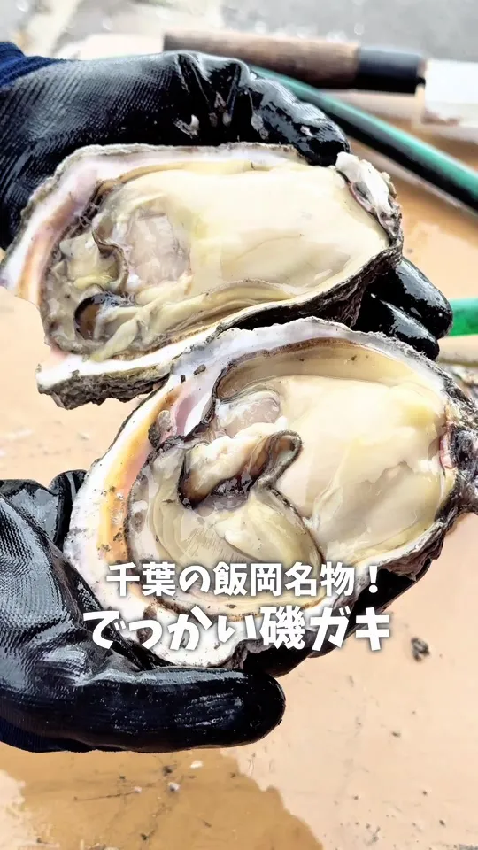 平公屋